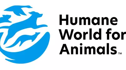 Zodiacul Chinezesc. Ce zodie chinezească ești în funcție de anul nașterii