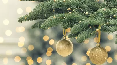 Zodiacul Chinezesc. Ce zodie chinezească ești în funcție de anul nașterii