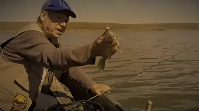 Zodiacul Chinezesc. Ce zodie chinezească ești în funcție de anul nașterii