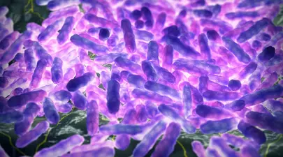 Zodiacul Chinezesc. Ce zodie chinezească ești în funcție de anul nașterii