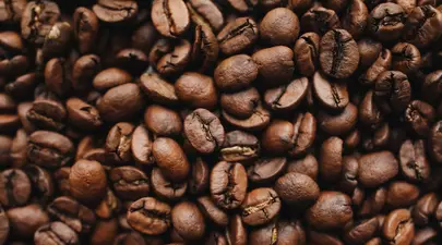 Zodiacul Chinezesc. Ce zodie chinezească ești în funcție de anul nașterii