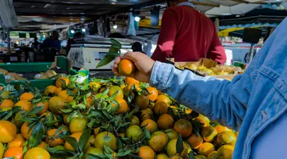 Zodiacul Chinezesc. Ce zodie chinezească ești în funcție de anul nașterii