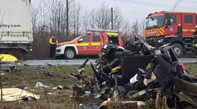 Zodiacul Chinezesc. Ce zodie chinezească ești în funcție de anul nașterii