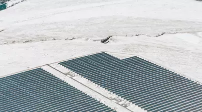 Zodiacul Chinezesc. Ce zodie chinezească ești în funcție de anul nașterii