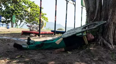 Zodiacul Chinezesc. Ce zodie chinezească ești în funcție de anul nașterii