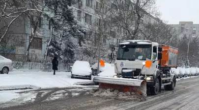 Zodiacul Chinezesc. Ce zodie chinezească ești în funcție de anul nașterii