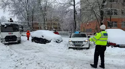 Zodiacul Chinezesc. Ce zodie chinezească ești în funcție de anul nașterii