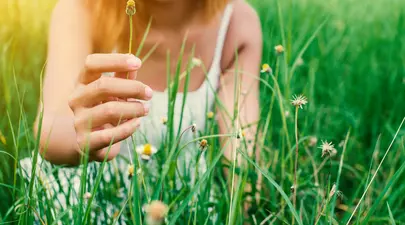 Zodiacul Chinezesc. Ce zodie chinezească ești în funcție de anul nașterii