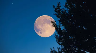 Zodiacul Chinezesc. Ce zodie chinezească ești în funcție de anul nașterii