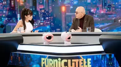 Zodiacul Chinezesc. Ce zodie chinezească ești în funcție de anul nașterii