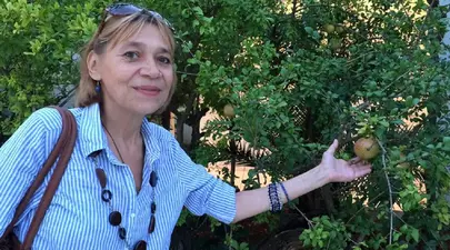 Zodiacul Chinezesc. Ce zodie chinezească ești în funcție de anul nașterii