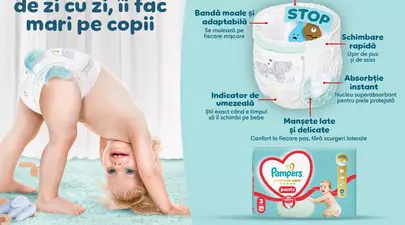 Zodiacul Chinezesc. Ce zodie chinezească ești în funcție de anul nașterii