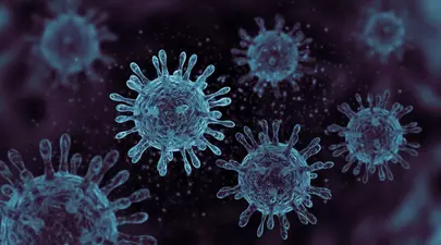 Zodiacul Chinezesc. Ce zodie chinezească ești în funcție de anul nașterii