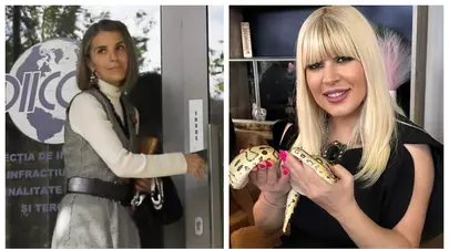 Zodiacul Chinezesc. Ce zodie chinezească ești în funcție de anul nașterii