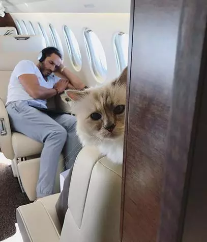 Choupette, pisica lui Karl Lagerfeld
