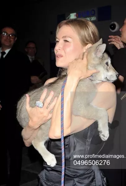 Renee Zellweger pets a wolfdog in Paris
