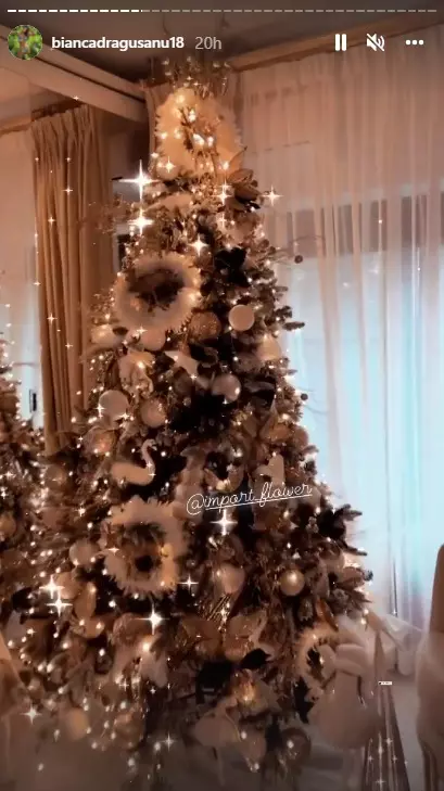 Bianca-Dragusanu-brad-1