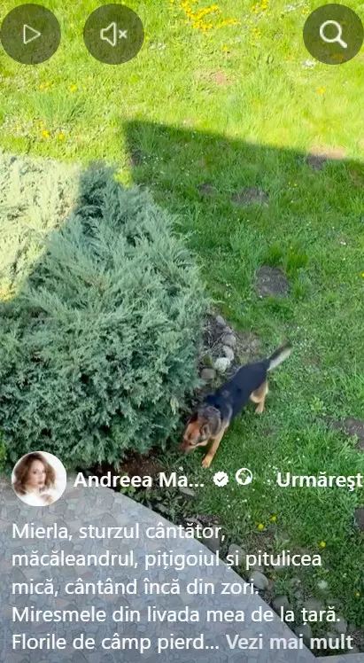 andreea marin8