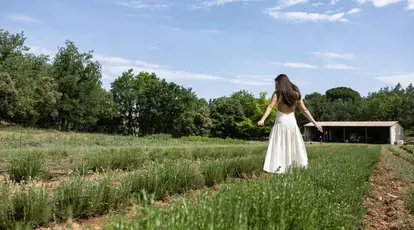 Drumul rozmarinului din câmp până la raft. Reportaj din Provence, locul în care începe povestea produselor pentru păr de la Weleda