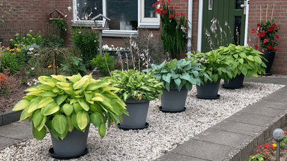 Cum să transformi aleea de grădină într-un spațiu atractiv? 10 sugestii practice