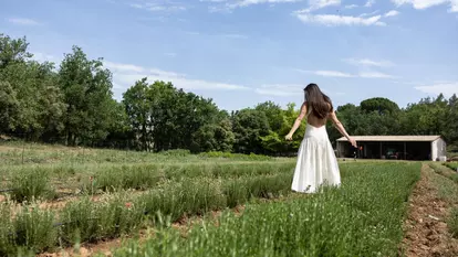 Drumul rozmarinului din câmp până la raft. Reportaj din Provence, locul în care începe povestea produselor pentru păr de la Weleda