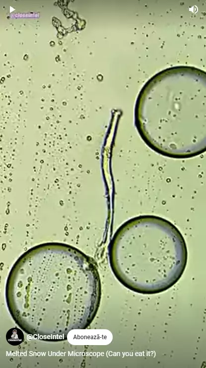 Zăpadă topită la microscop (1)
