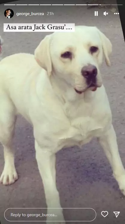 caine-andreea-balan-8