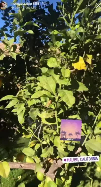 Monica-Gabor-proprietara-vilei-din-Malibu-8