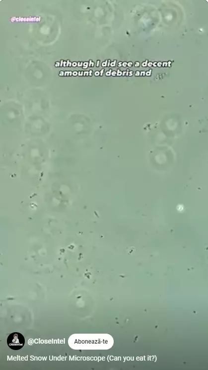 Zăpadă topită la microscop (5)