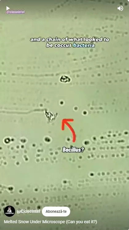 Zăpadă topită la microscop (3)