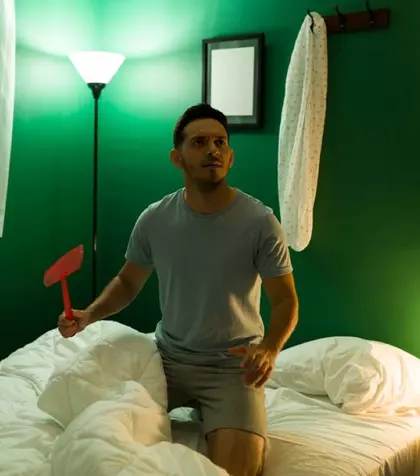 Cum scapi de țânțarii din apartament fără insecticid