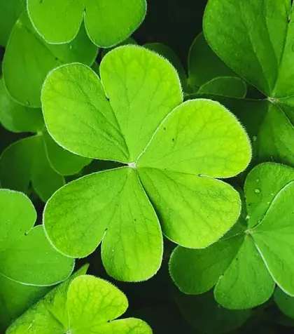 Horoscop săptămânal: Care este ziua ta norocoasă în funcție de zodie în săptămâna 24-30 noiembrie 2025?