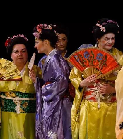 D’ale carnavalului, Tosca, Nabucco, Romeo și Julieta, Madama Butterfly, pe scena Operei Naționale București