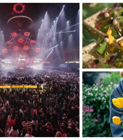 Ce faci în weekendul 6-8 martie 2026. Topul celor mai tari concerte, spectacole, târguri și festivaluri. La ce evenimente poți să mergi în București de Ziua Femeii?