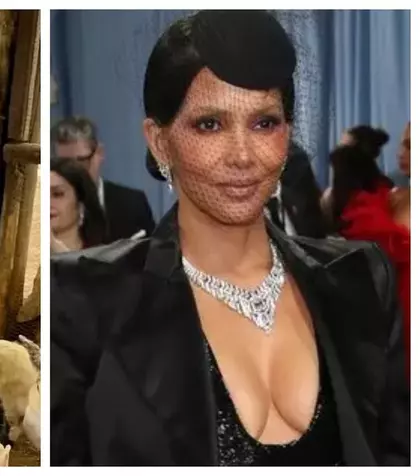 Halle Berry, apariție memorabilă la Met Gala 2025. Fără lenjerie intimă, actrița de 58 de ani a fost la un pas de un moment stânjenitor, din cauza rochiei transparente