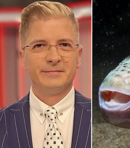 Cum arată mușcătura de pește-iepure, pericolul de pe litoralul grecesc 😮 Prezentatorul TV Marius Niță a publicat o imagine cu rana provocată de această specie / FOTO