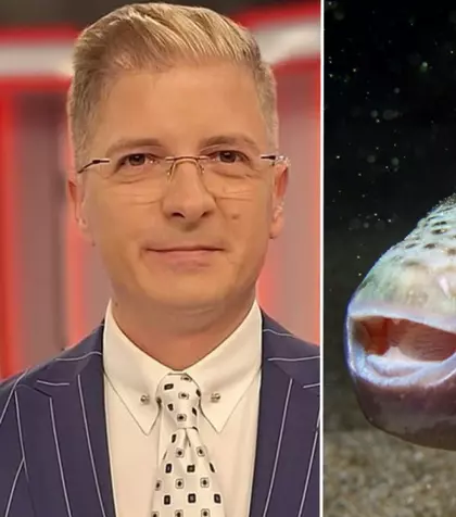 Cum arată mușcătura de pește-iepure, pericolul de pe litoralul grecesc. Prezentatorul TV Marius Niță a publicat o imagine cu rana provocată de această specie / FOTO
