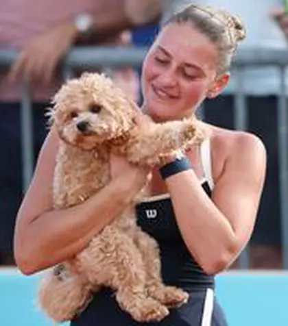 Ultima „fiță” la Roland Garros: tot mai mulți tenismeni sunt însoțiți de animale de companie