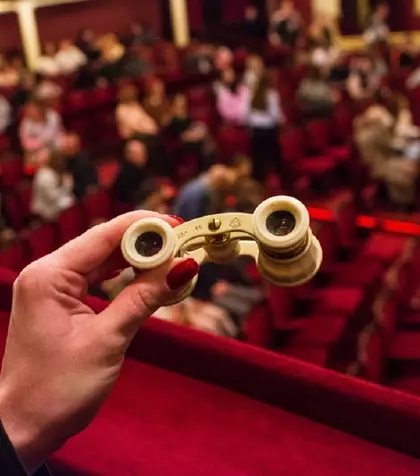 Ce înseamnă când visezi operă