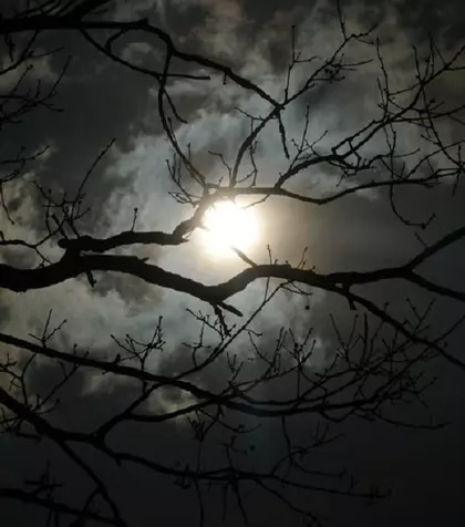 Luna plină din 4 decembrie. Energie, dinamism și comunicare deschisă sub semnul Gemenilor