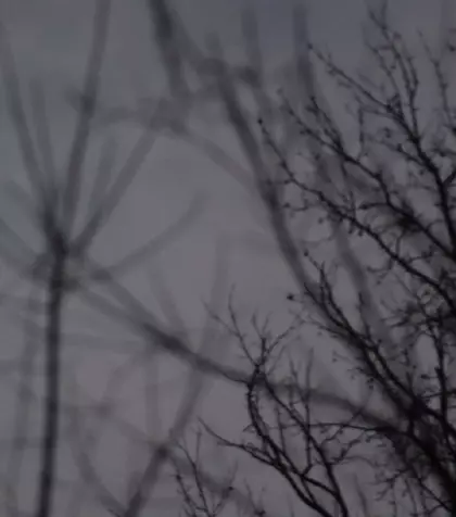 Luna plină din 3 ianuarie. Primul prag dificil la începutul anului 2026