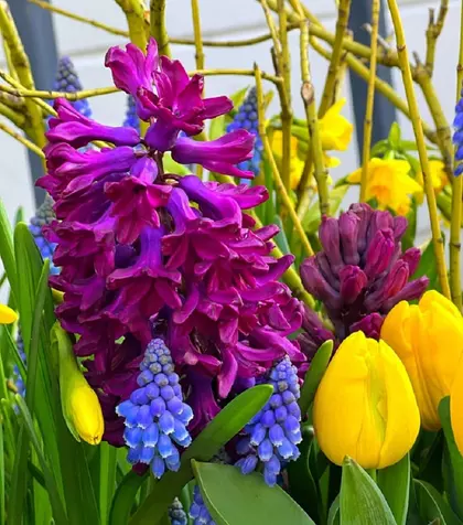 Nume sărbătorite de Florii – Laura este nume de floare