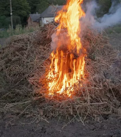 Ce înseamnă expresia „a pune paie pe foc”