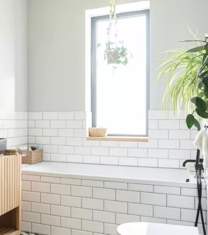 Cele mai bune plante pentru baie – absorb umiditatea