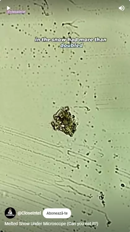 Zăpadă topită la microscop (2)