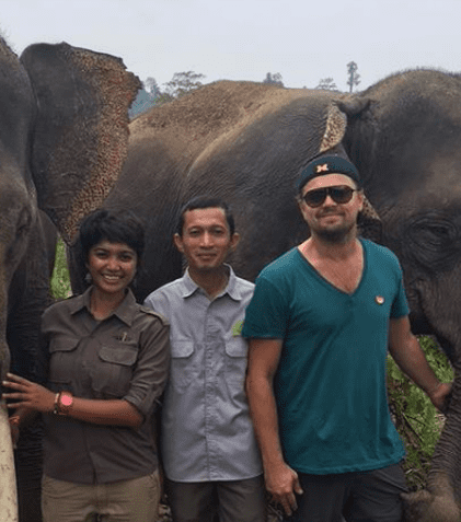 Indonezia e deranjată de declarațiile lui Leonardo DiCaprio