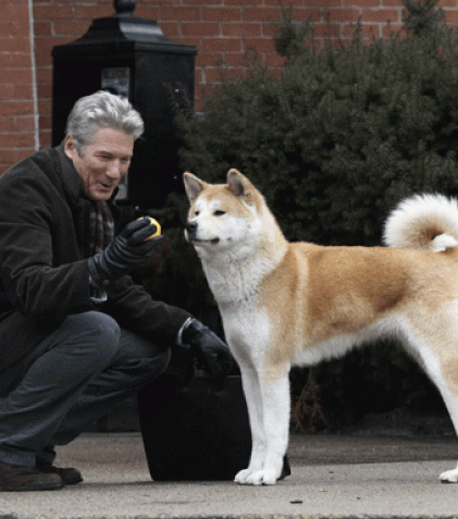 Recomandarea TVmania: „Hachiko: Povestea unui câine”, cu Richard Gere