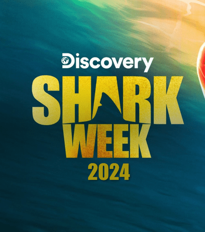 Shark Week 2024 începe la Discovery. Cel rol are John Cena și documentarele în premieră