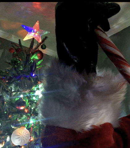 Filmul „Dead by Christmas”, disponibil pe MEGOGO. Holly Bonney joacă rolul principal