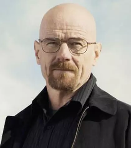 Bryan Cranston are un serial nou pe Amazon: „Sneaky Pete”